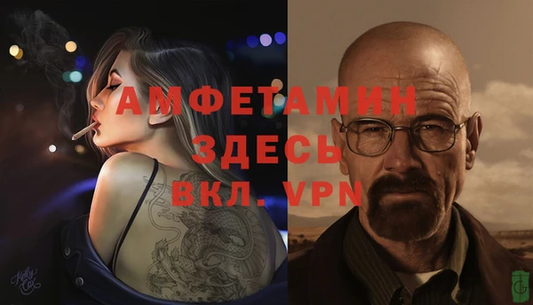 прущие грибы Козловка