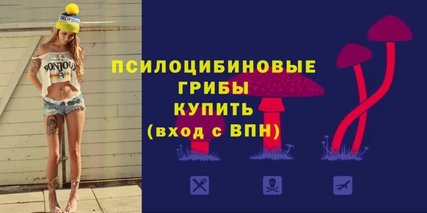 прущие грибы Козловка