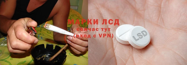прущие грибы Козловка