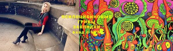 метадон Кодинск