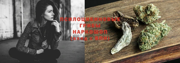 прущие грибы Козловка