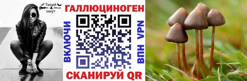 Псилоцибиновые грибы мухоморы  Купить закладки  Кузнецк 